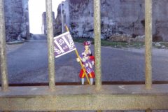 IMG_20200111_082843-scaled